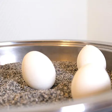 Vivotel Buerer Hof 3*