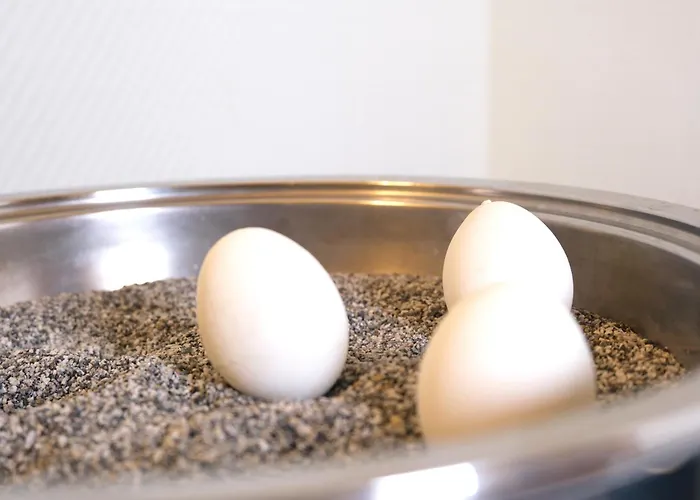 Vivotel Buerer Hof 3*